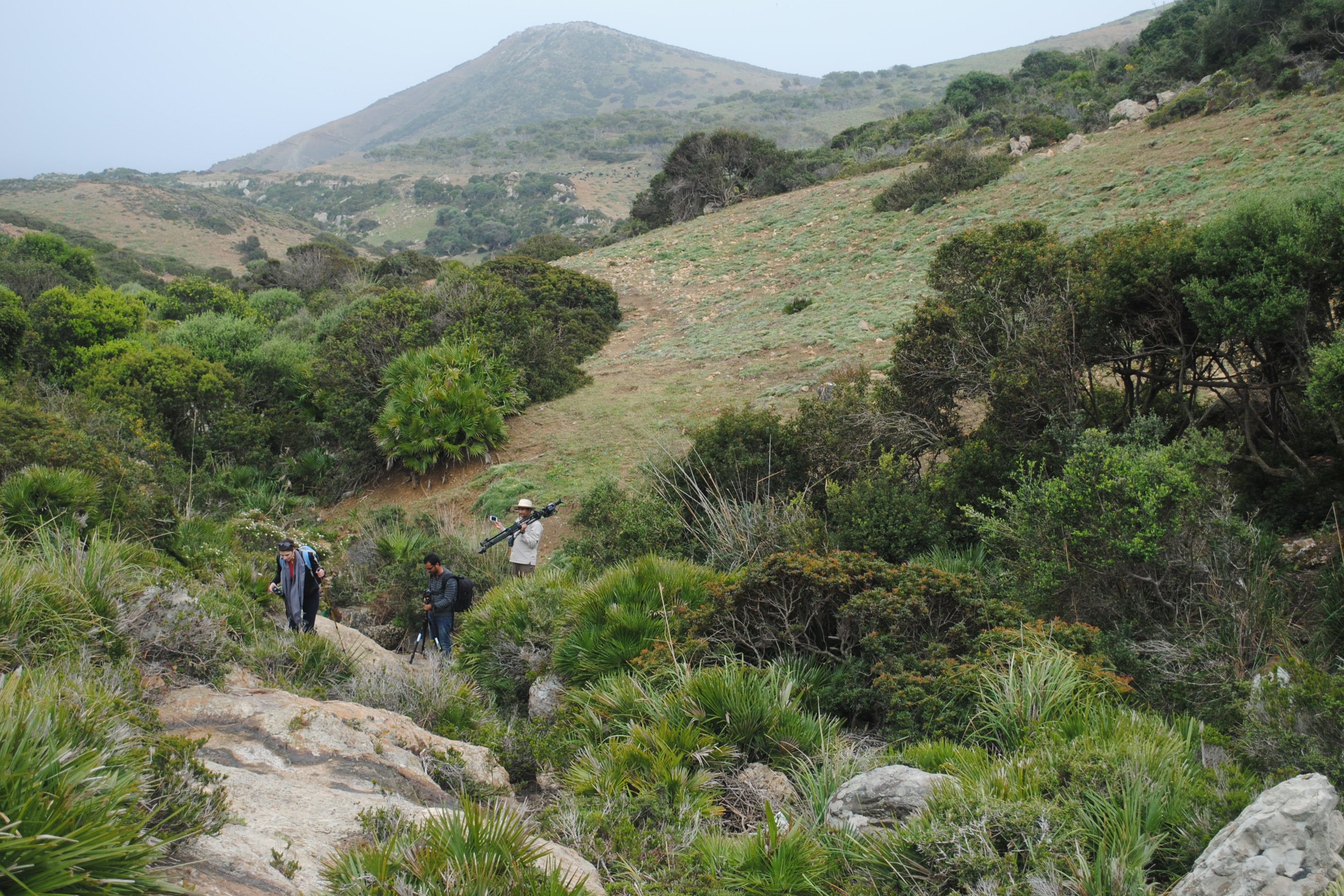 Aymen Louhichi-Haouaria 7