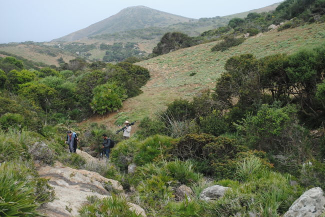 Aymen Louhichi-Haouaria 7