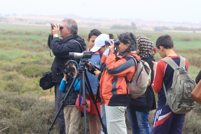 Karima Kerkeni- Maâmoura 1