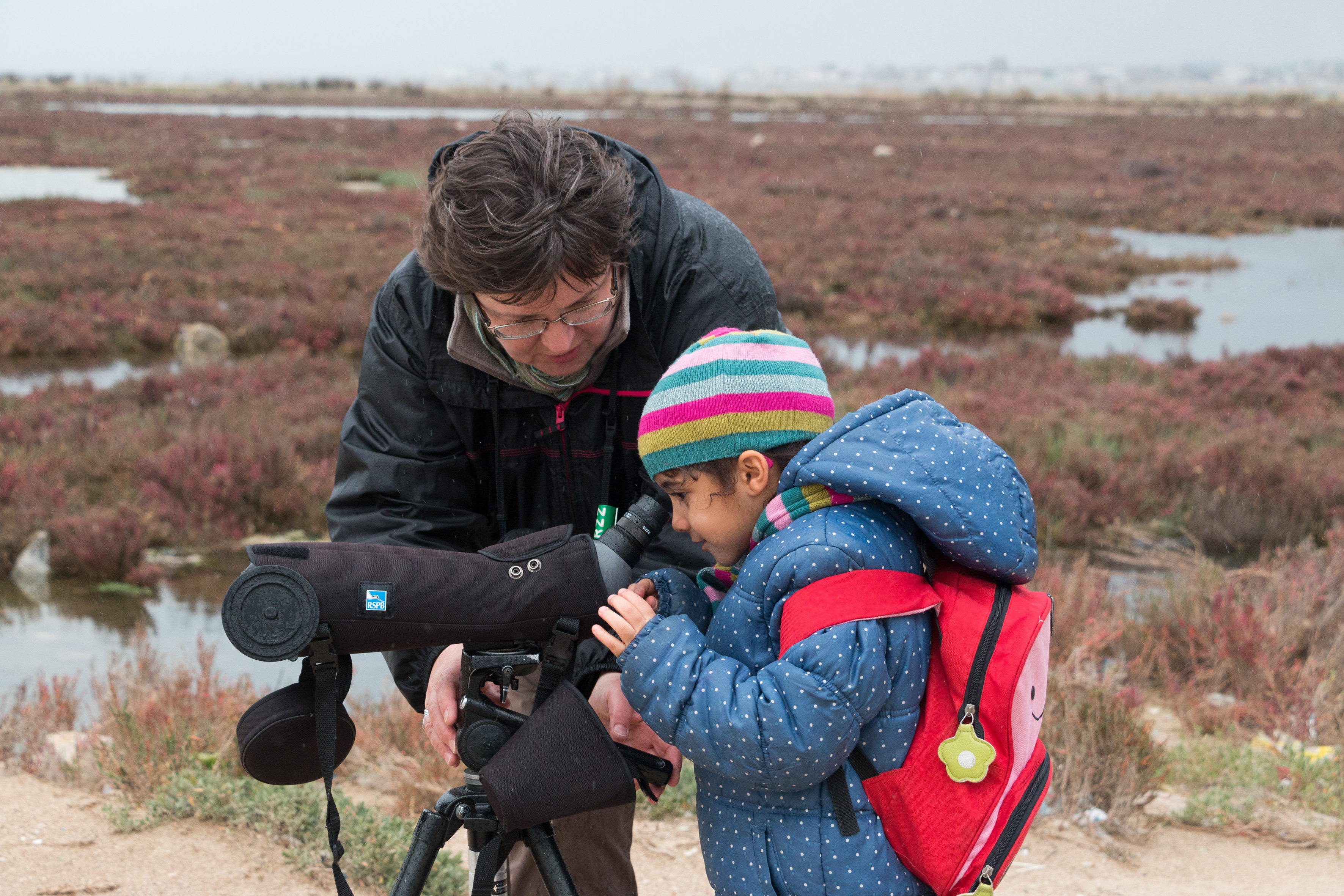 Lac Sud de Tunis 2 (Y. AZAFZAF)