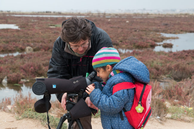 Lac Sud de Tunis 2 (Y. AZAFZAF)