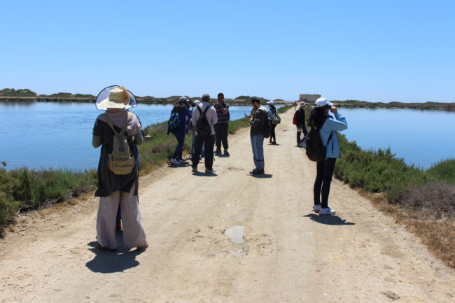 Lagune de Korba (H. ABID)